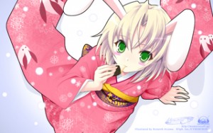 2011noelle-wp_t